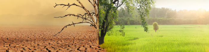 Eco-Teens Tomorrow's Climate Pioneers
